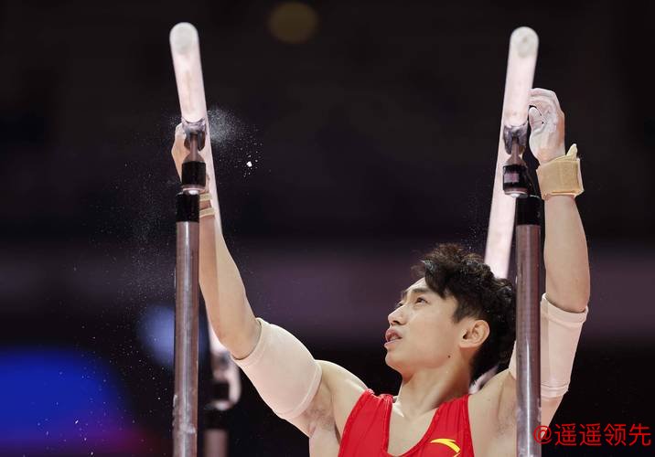 邹敬园分享夺冠心得，四川体操动员备战十六运周期